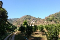 IMG_20170319_100606584