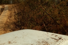 IMG_20170322_092328726_BURST000_COVER_TOP