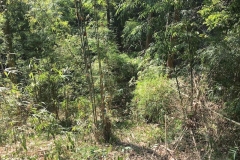 timeline_25600707_081732