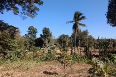 IMG_20171224_141930952