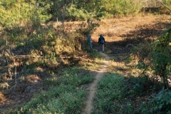 IMG_20171224_155156303_HDR