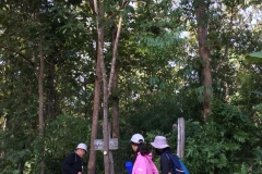 งาว_180105_0028