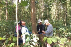 งาว_180105_0046