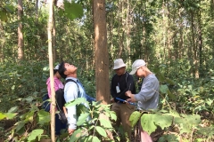 งาว_180105_0047