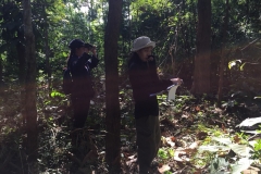 งาว_180105_0052