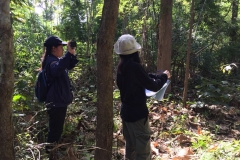 งาว_180105_0055