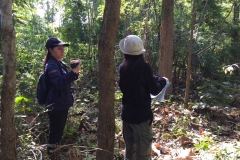 งาว_180105_0056