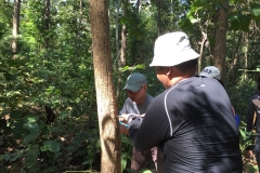 งาว_180105_0058