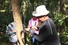 งาว_180105_0061