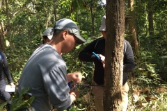 งาว_180105_0062