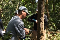 งาว_180105_0063