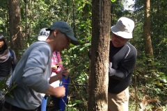 งาว_180105_0064